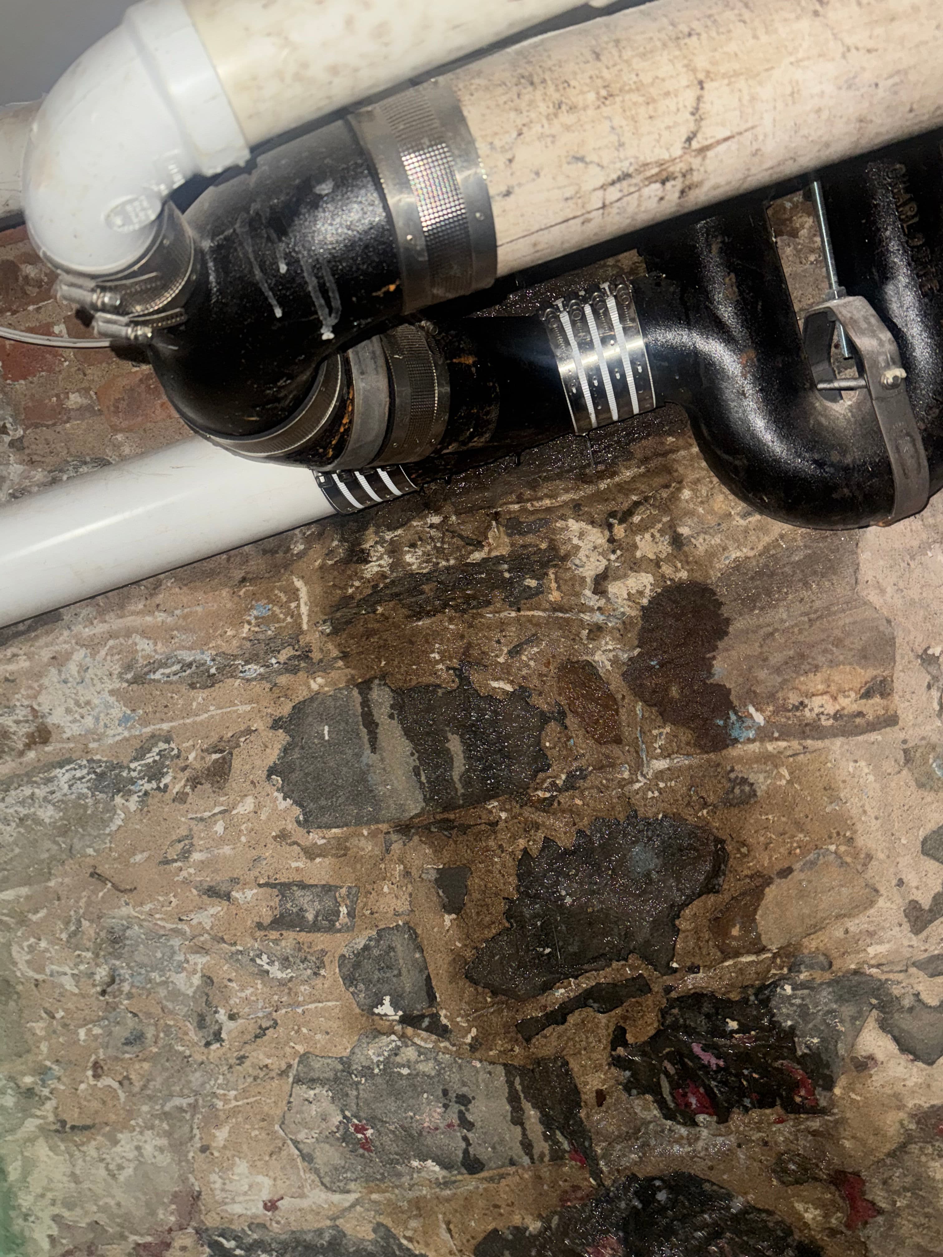 Project Brooklyn Basement Drain Repair and Sewer Line Clearing image