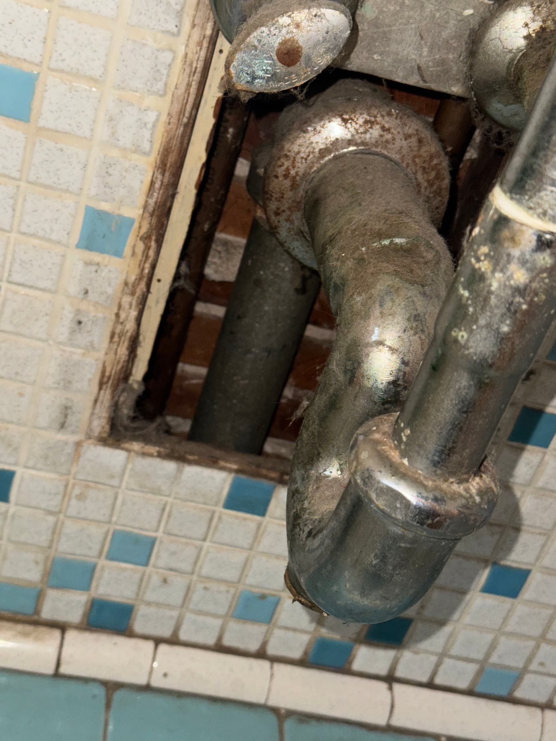 Gallery photos for Old Galvanized Drain Lines Replaced with PVC in Staten Island: Image #3
