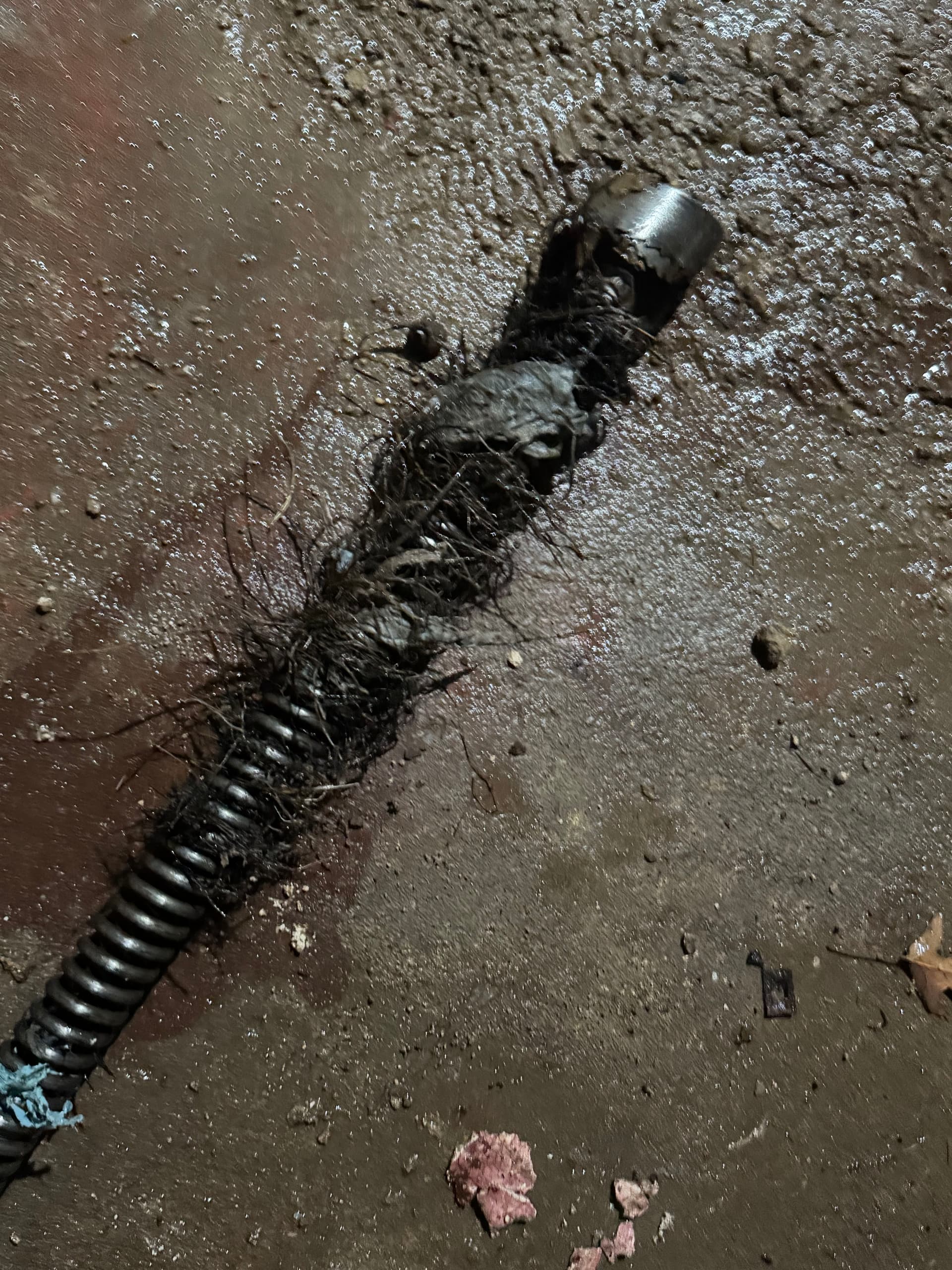 Gallery photos for Brooklyn Basement Drain Repair and Sewer Line Clearing: Image #8