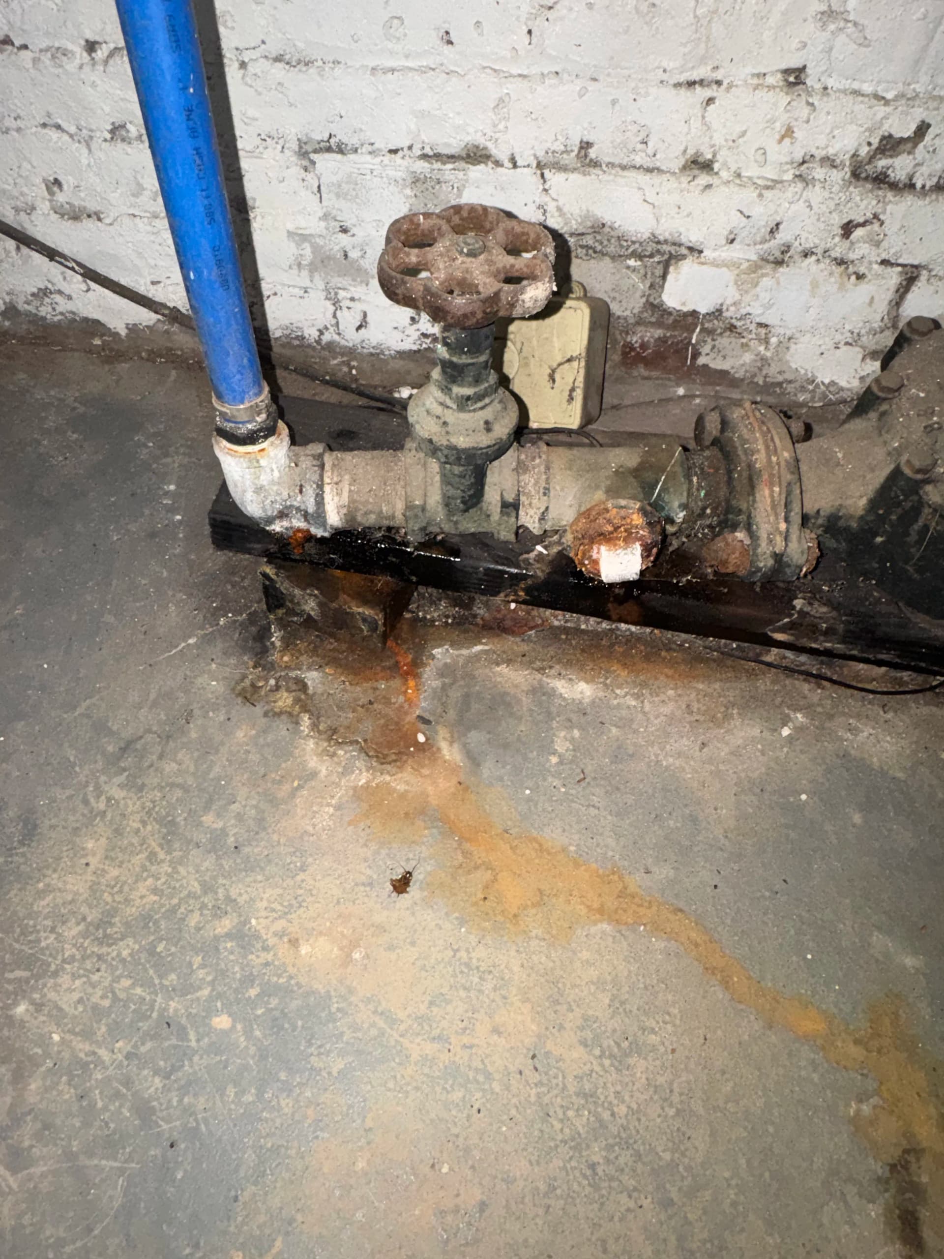 Gallery photos for Water Meter Leak Repair and Copper Pipe Replacement in Newark NJ: Image #1