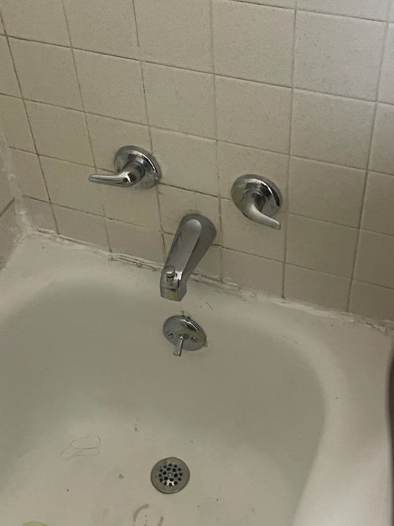 Two-Handle Showerbody Replacement Success image