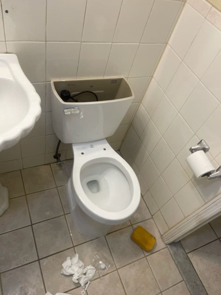 Gallery photos for Seamless Toilet Replacement in West Chester NY: Image #1