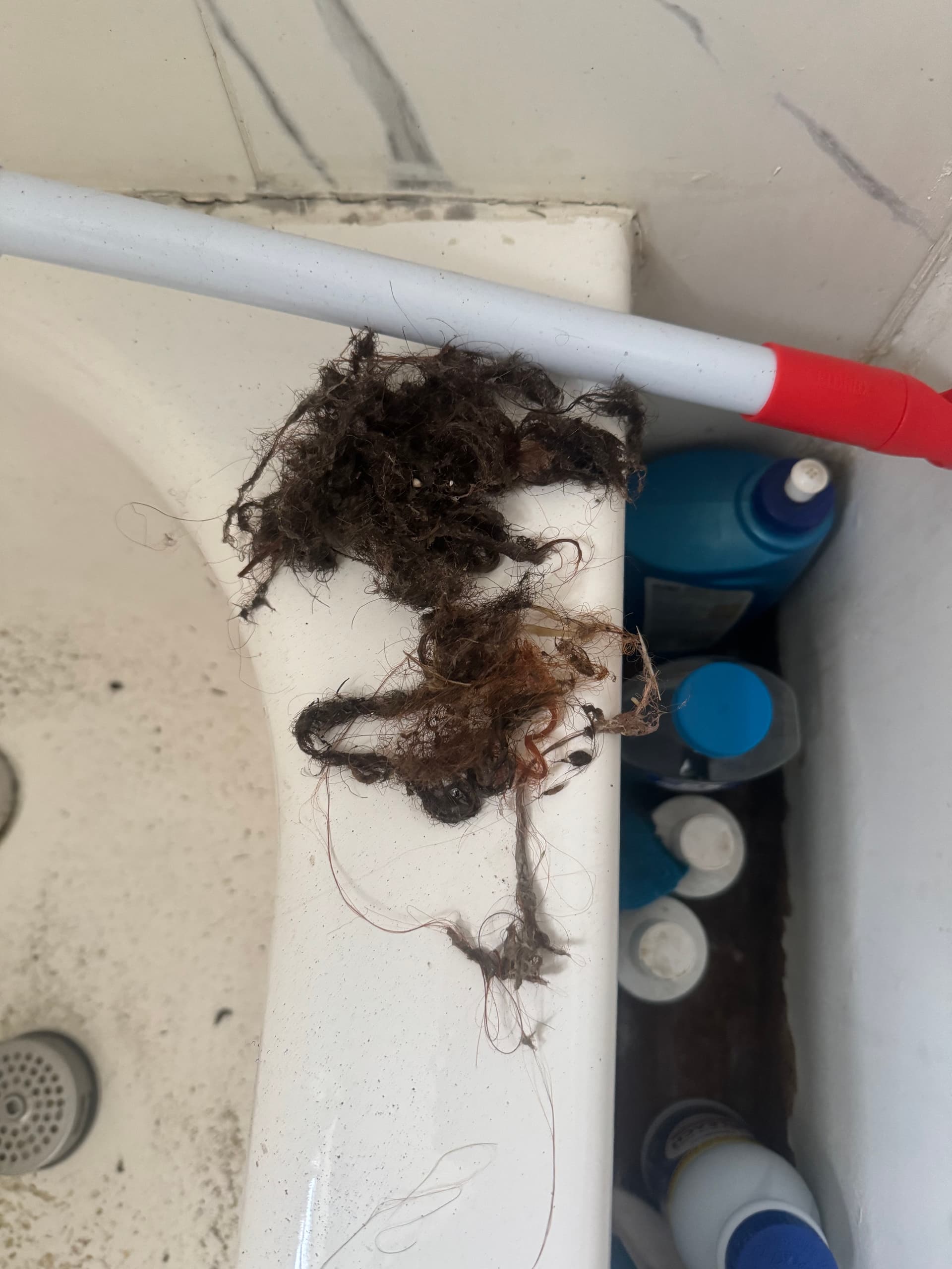 Gallery photos for Bathroom Drain Cleaning Clears Major Hair Blockage in Newark: Image #2