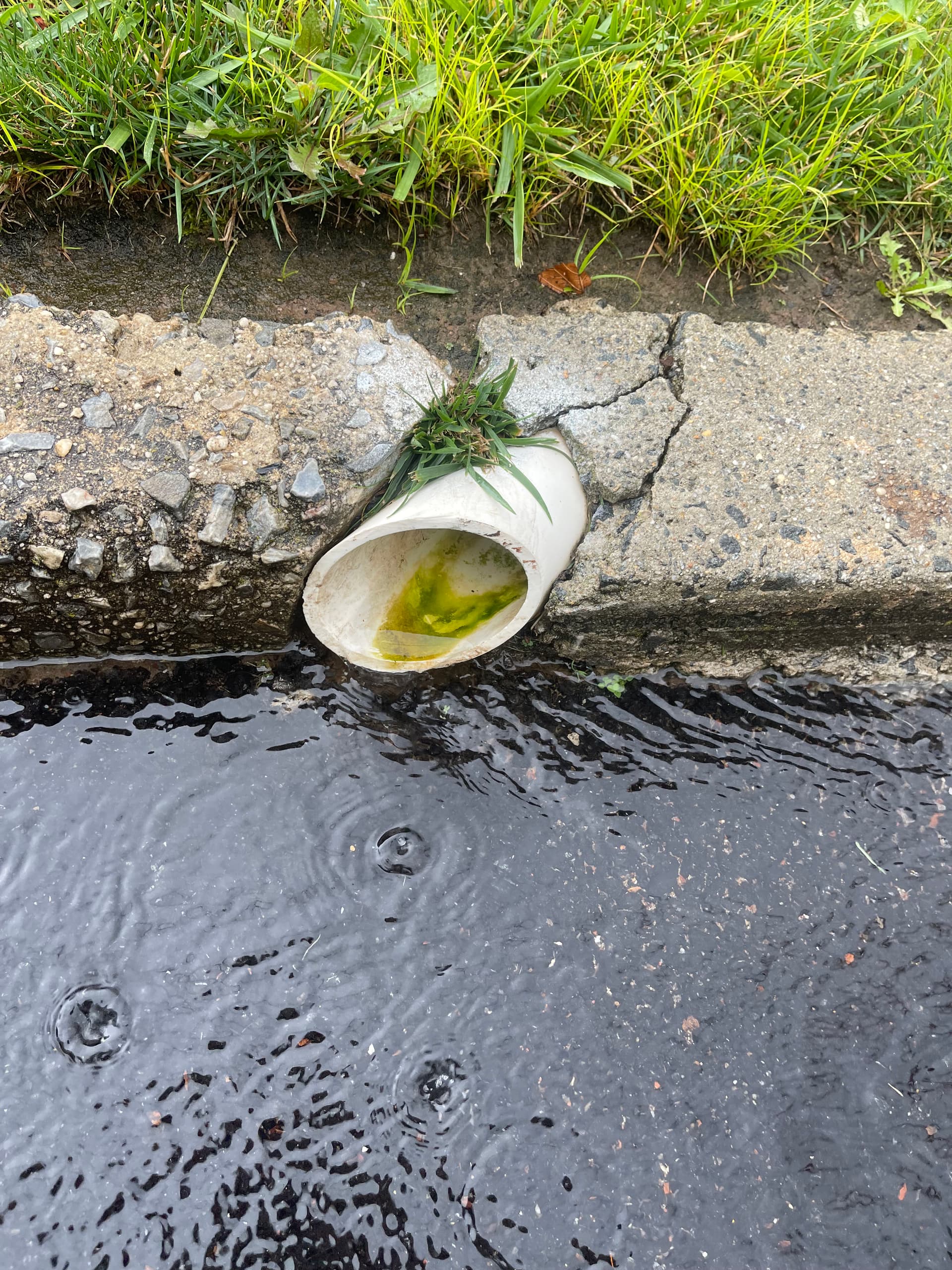 Gallery photos for Low-Level Pump Replacement and Discharge Line Clearing in New Hyde Park: Image #4