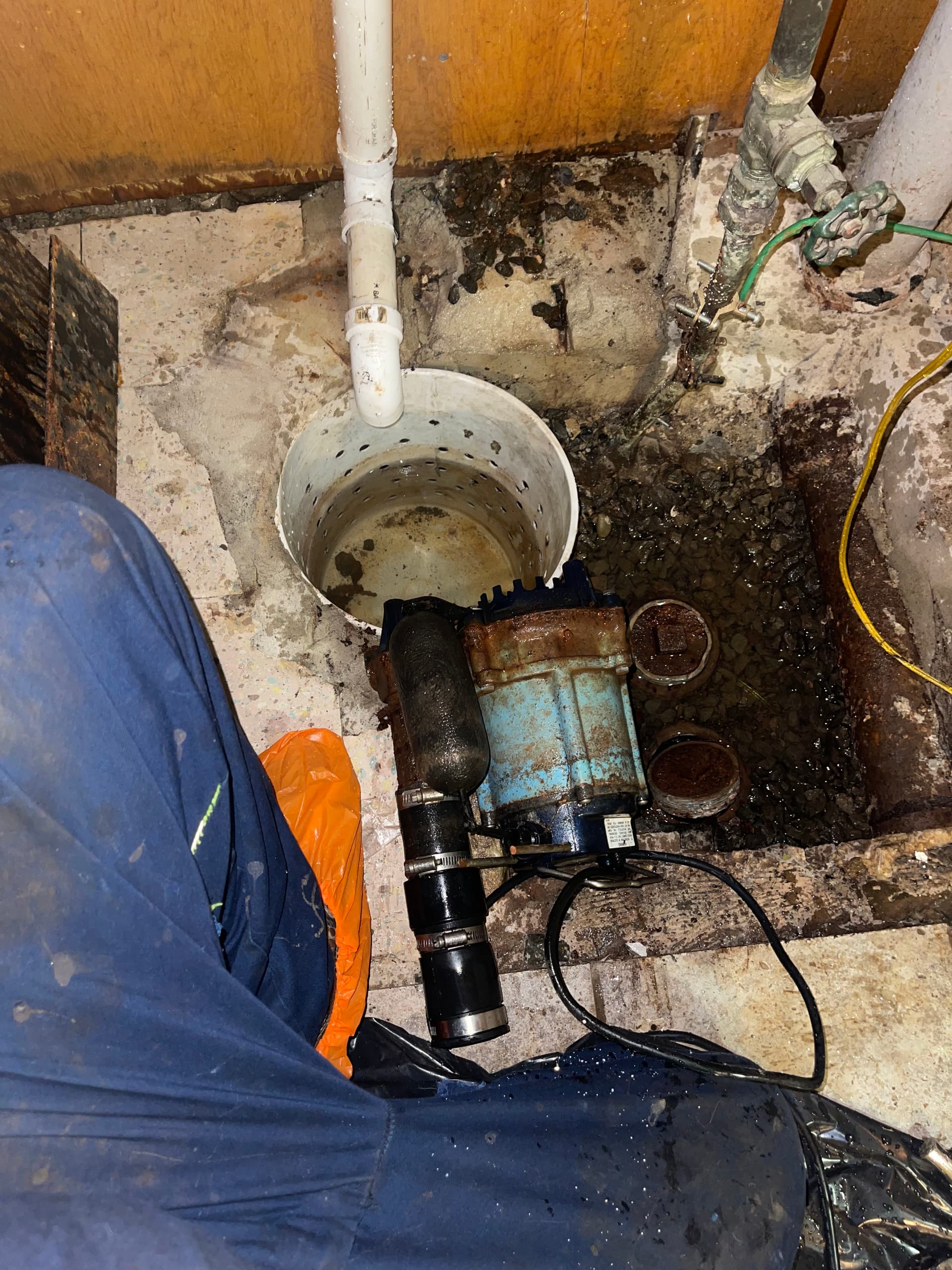 Gallery photos for Low-Level Pump Replacement and Discharge Line Clearing in New Hyde Park: Image #1