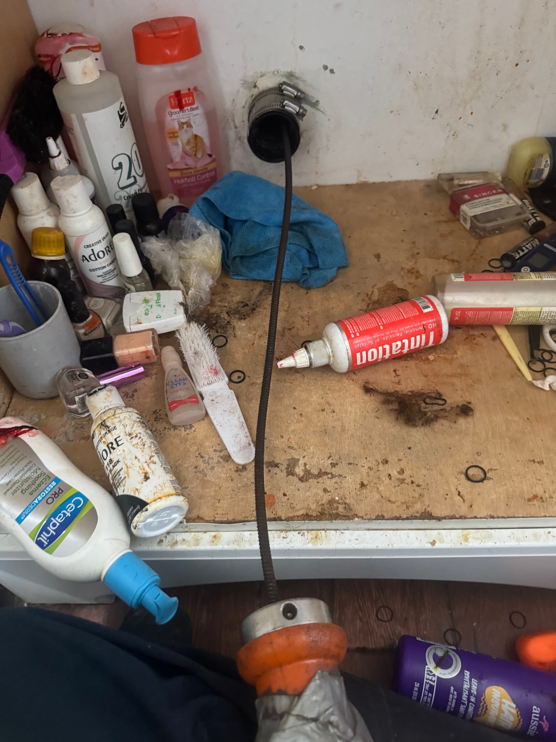 Gallery photos for Bathroom Drain Cleaning Clears Major Hair Blockage in Newark: Image #1