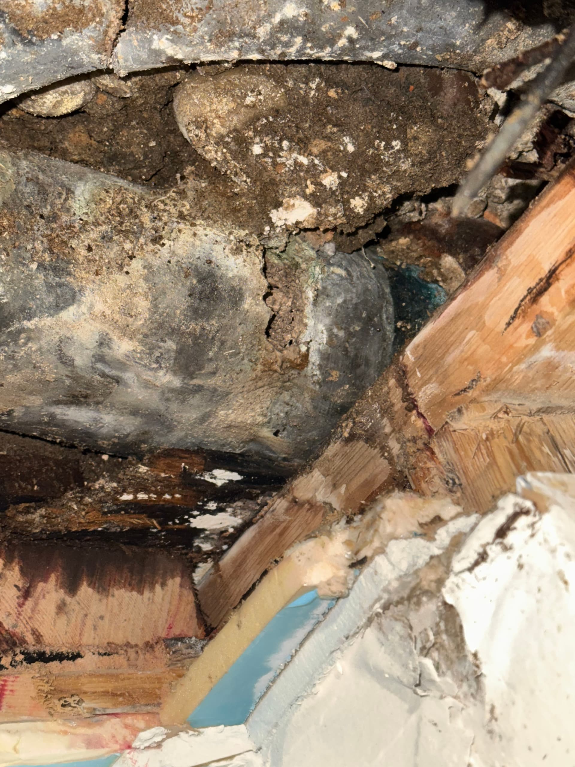 Swift Plumbing Fix in Queens image